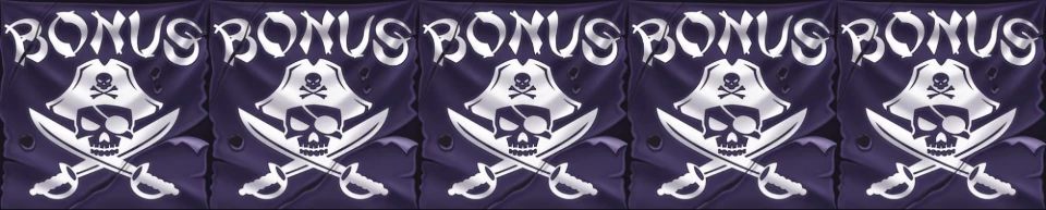 the bonus symbol